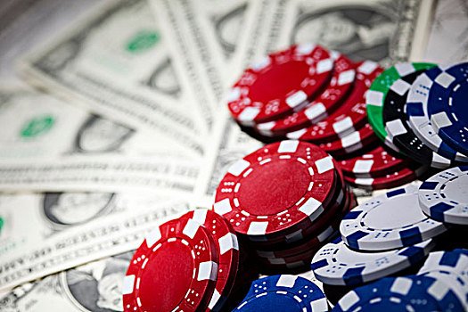 Live Casino foxy