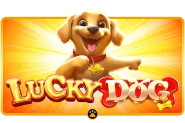 foxy VIP ငွေထုတ် Cashback Bonus MMK မြန်မာ ကစားသူ